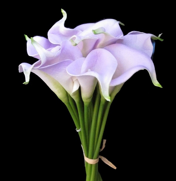 Calla Lilies lavender bridal bouquet