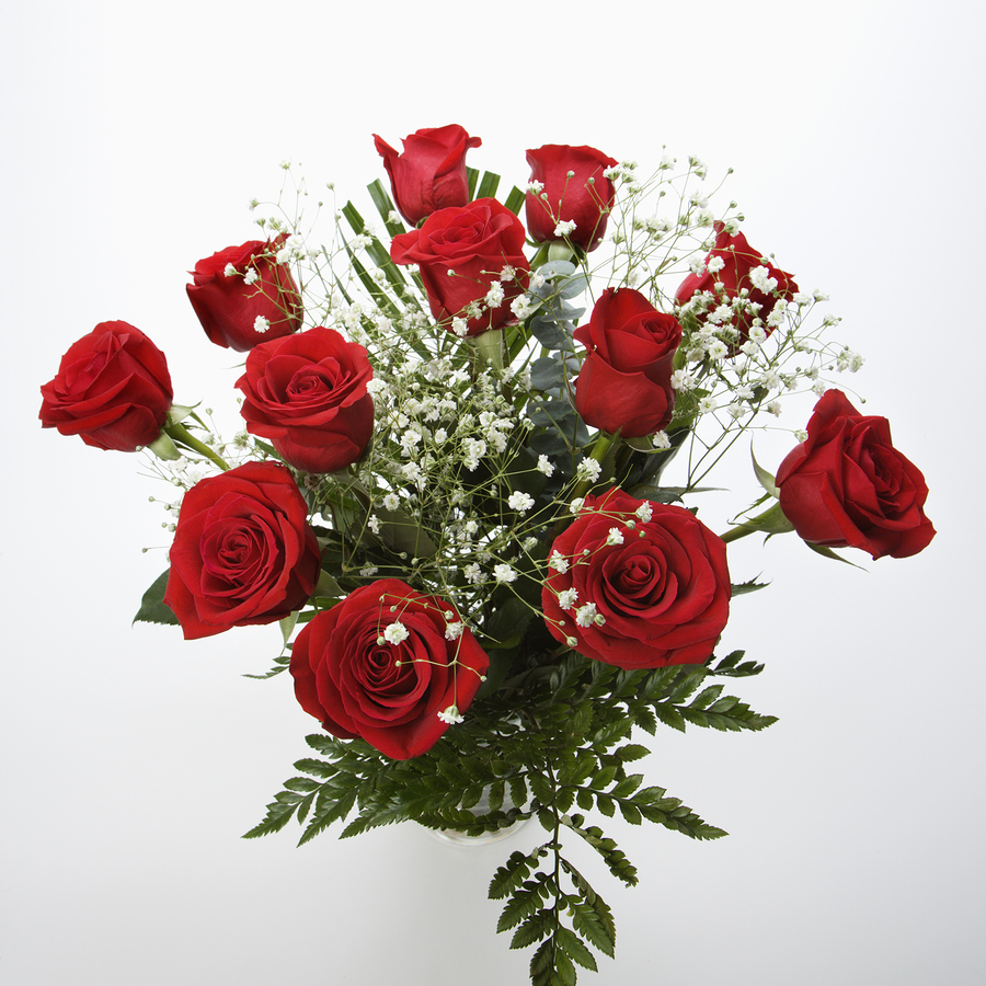 Bouquet of long-stemmed red roses with baby's breath against whi